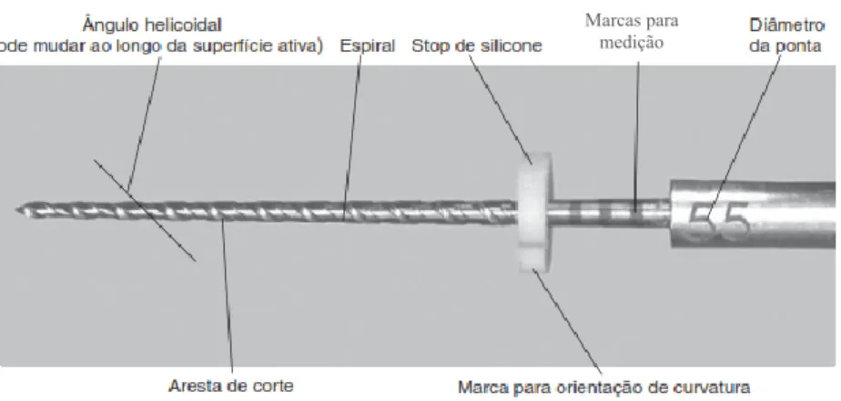 Figura 5 - Constituintes de um instrumento endodôntico rotatório (Cohen &amp; Hargreaves, 2011) 