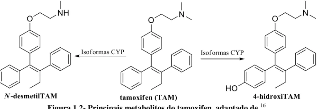 Figura 1.2- Principais metabolitos do tamoxifen, adaptado de  16 . 