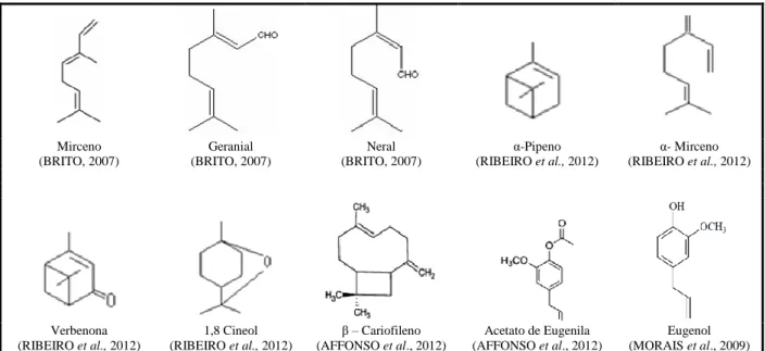 Figura 1- Origem dos Terpenóides e Fenilpropanóides  (LUPE, 2007). 