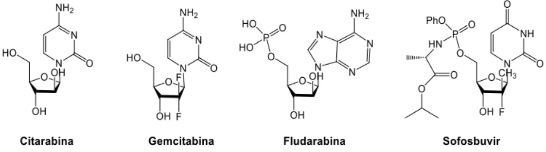 Figura 10: Exemplo de análogos de nucleósidos e nucleótidos utilizados atualmente na  quimioterapia (anticancerígena e antiviral): citarabina 36 , gemcitabina 37 , fludarabina 38  e sofosbuvir 39 