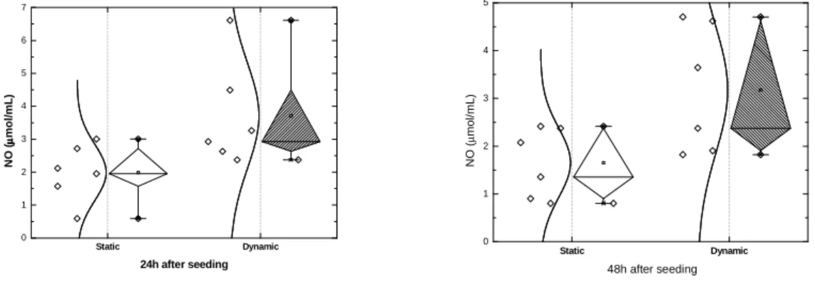 Figure 8 – Nitric oxide immediately after stimulation of the dynamic  group, comparing to static group