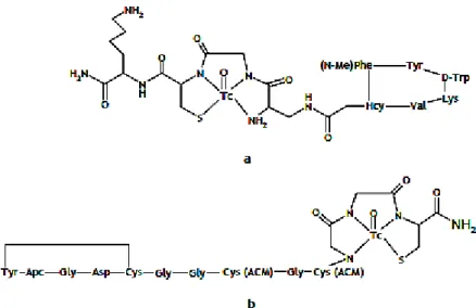 Figura 1.12 - Estrutura dos radiofármacos específicos  99m Tc-Apcitide (a) e 99m Tc-Depreótido (b) e em utilização clínica 