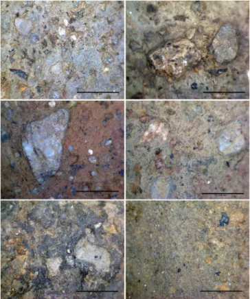 Fig. 23 - Aspecto microscópico (x50) das pastas dos  fragmentos de recipientes cerâmicos recolhidos no 