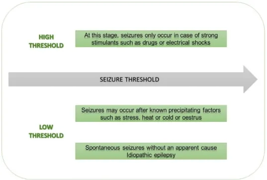 Figure 1: Factors that may affect the seizure threshold (Adapted from DeLahunta et al