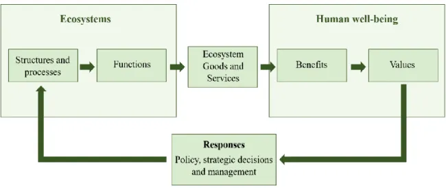 Fig. 1 - Conceptual linkage between ecosystems and human well-being and integrated evaluation of  ecosystem functions, goods and services (adapted from de Groot et al., 2002; Haines-Young and  Potschin, 2010)