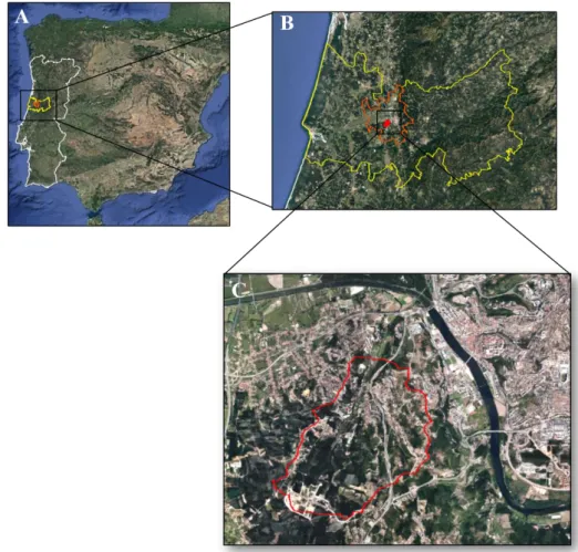 Fig. 2 - Location of the study site. A: Ribeira dos Covões catchment in Iberian Peninsula