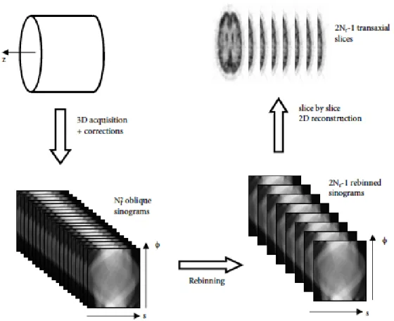 Figure 2.19: Schematic representation of the principle of a rebinning algorithm for 3D PET data.