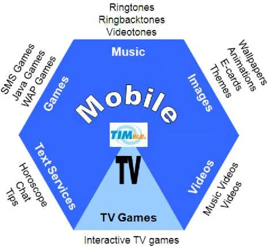 Figure 1 TIM w.e. Products 