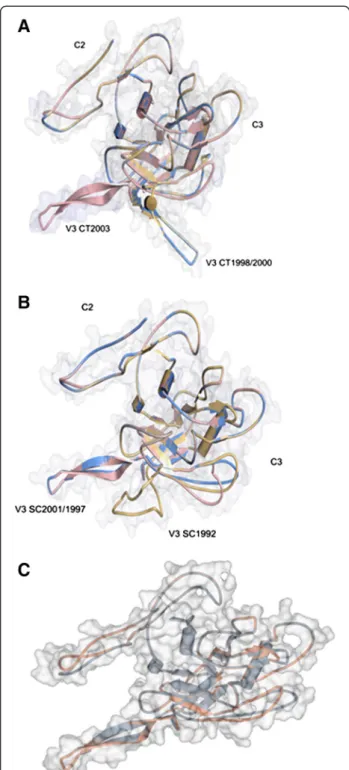 Figure 5 Evolution of the structure of C2-V3-C3 envelope region. Three-dimensional structures of C2-V3-C3 amino acid sequences from child 1 and 2 were generated by homology modelling using the three-dimensional structure of an unliganded SIV gp120 envelope