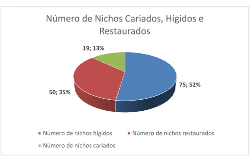 Figura 11 – Desenho dos nichos 