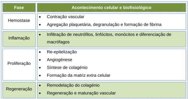 Tabela 1 – Processo de cicatrização de feridas agudas 