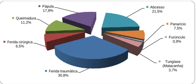 Gráfico 3 – Classificação de feridas 