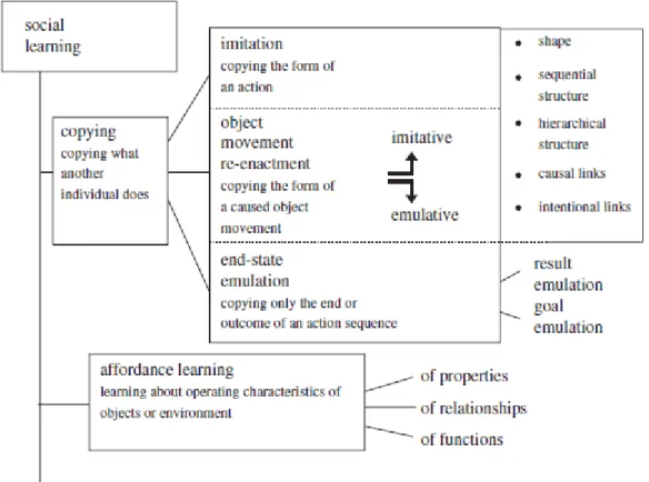 Figura  1.  1:  Taxonomia  dos  processos  imitativos  e  emulativos  (adaptado  de  Whiten  et  al.,  2009,  pág