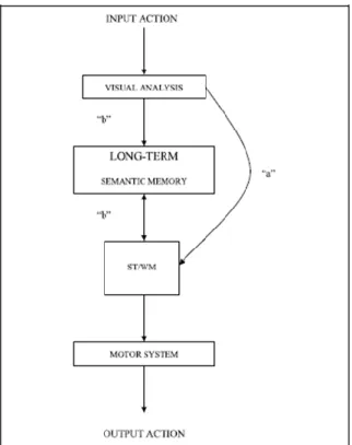 Figura  1.  4:  Representação  esquemática  do  modelo  de  Dupla-Rota  para  a  imitação  de  ações