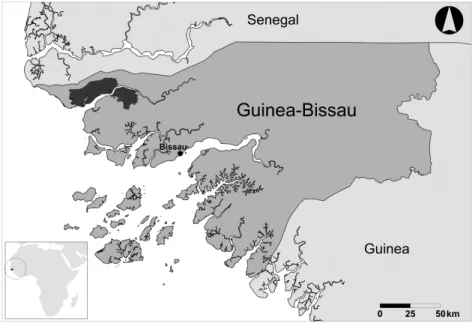 Figure 1. The study area, the Tarrafes-de-Cacheu Natural Park in Guinea-Bissau, is shown  in dark grey close to the shoreline in Northern Guinea-Bissau