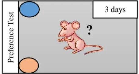 Figure 2.2 - Control preference test set up. Mus spretus individuals were offered a choice between CCinnamon  (blue) or CCocoa (orange), during a 3-day period