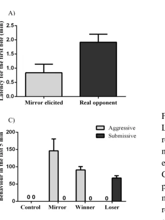 Figure 1 –  Behavioural  results. A)  Latency for the first bite, B) Fight  resolution time, measured as the time  needed for a social hierarchy to be  established in the real opponent dyads,  C) Mean number of aggressive acts  performed in the last 5 min 