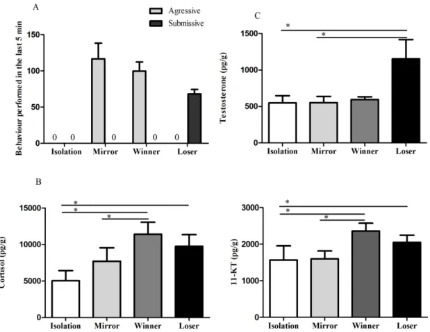 Figure 1 – Effects of social challenge in agonistic behaviour and hormonal levels: (A)  Behavioural characterization of the social treatments, as the frequency of aggressive and  submissive behaviours expressed at the last 5 min of the agonistic interactio