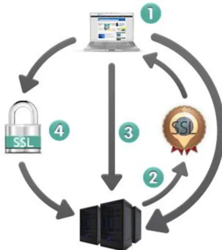 Figura 2.6 - Esquema de interacção com o SSL [13] 