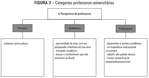 FIgura 3 – Categorias professores universitários