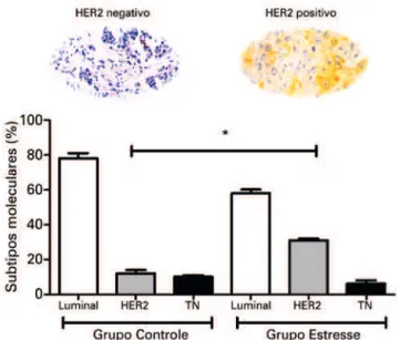 Figura 2.  Subtipagem molecular de tumores. As imagens representam a  marcação de IHC para HER2