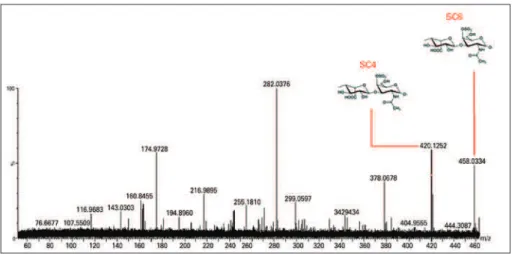 Figura 4. Espectroscopia de massa para identificar oligossacarídeos de sulfato de heparan