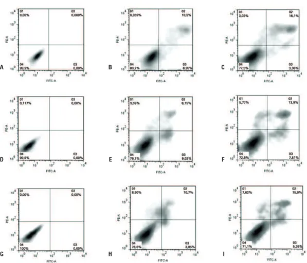 Figura 5. Ensaio de viabilidade celular pelo método de anexina-iodeto de propídeo. (A, D, G) Representam as CTM não marcadas com as NOF-DX-PLL (controle  negativo) e sem marcação para anexina-iodeto de propídeo (controle negativo interno do ensaio de viabi