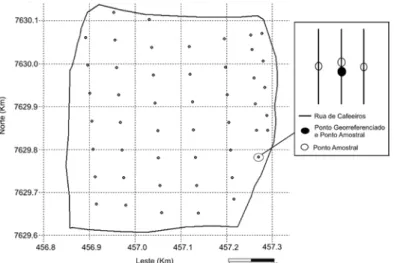 FIGURA 1 –  Malha amostral irregular e detalhamento do esquema amostral. Irregular sampling 