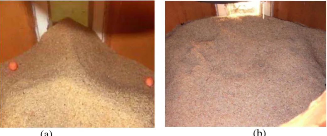 FIGURA  4.  Exemplo  da  condição  final  da  superfície  da  camada  da  areia  mostrando  detalhes  da  movimentação para a placa difusora original (a), e para a placa difusora avaliada (b)