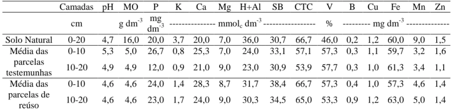 TABELA  3.  Valores  médios  dos  atributos  químicos  do  solo  encontrados  no  solo  natural  antes  do  experimento,  nas  parcelas  testemunhas  (Tst1,  Tst2  e  Tst3)  e  de  reúso  (RsA,  RsB  e  RsC)  após  o  término  do  segundo  ciclo  da  cultu