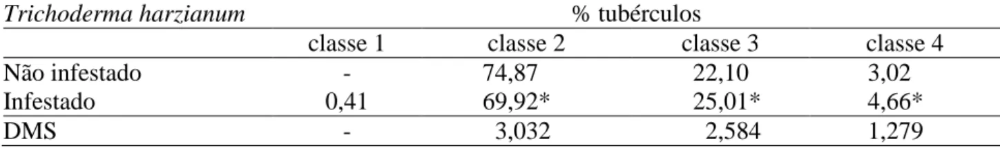 TABELA  6.  Porcentagem  de  tubérculos  de  batata  na  Classe  2  (diâmetro  entre  45  e  85  mm),  em  função da infestação do solo com T.harzianum