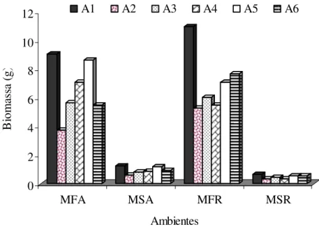 FIGURA 3. Biomassas  nas  parcelas  principais  (ambientes),  independentemente  dos  substratos