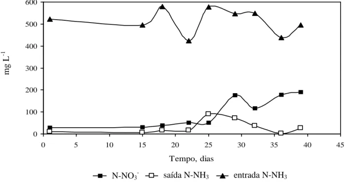 FIGURA  4.  Concentração  de  N-NH 3   de  entrada,  N-NH 3   de  saída  e  N-NO 3 -   no  reator  aeróbio 