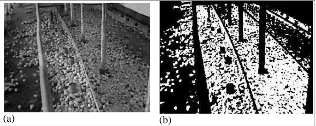 FIGURA 5.  Imagens  em escala de cinza (a) e limiarizadas  (b), para as  câmeras posicionadas num  ângulo  de  45º  em  relação  ao  solo,  com  os  pintainhos  representados  em  branco