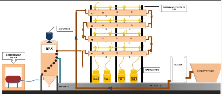 FIGURA  1.  Esquema  dos  reatores  anaeróbios  horizontais  com  manta  de  lodo  (R1)  e  de  leito  fixo  (R2,  R3  e R4),  em  série,  seguidos  de  reator  aeróbio  operado  em  batelada  sequencial  (RBS)  com  alimentação  contínua