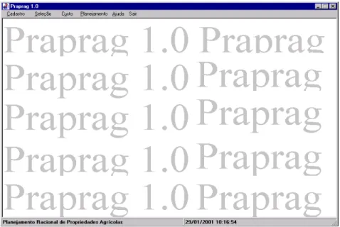 FIGURA 1. Tela inicial do software Praprag.  Initial screen of the Praprag software . 