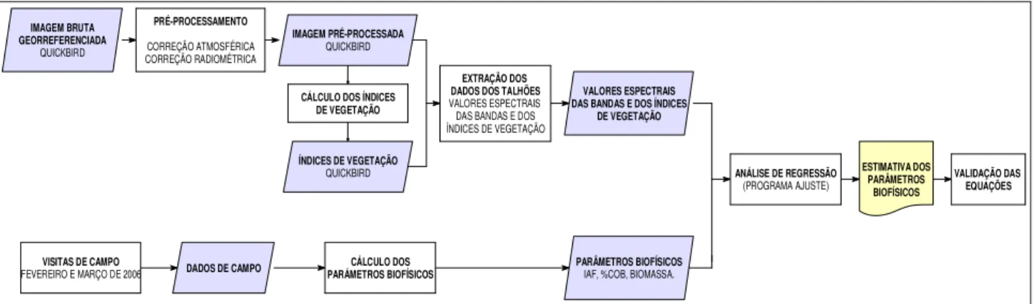 FIGURA 3. Metodologia utilizada para o desenvolvimento do trabalho. Methodology applied to                     develop this paper