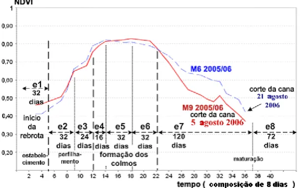 FIGURA 11. Perfil temporal do NDVI, microrregiões 6 (M6) e 9 (M9). NDVI temporal profile in 
