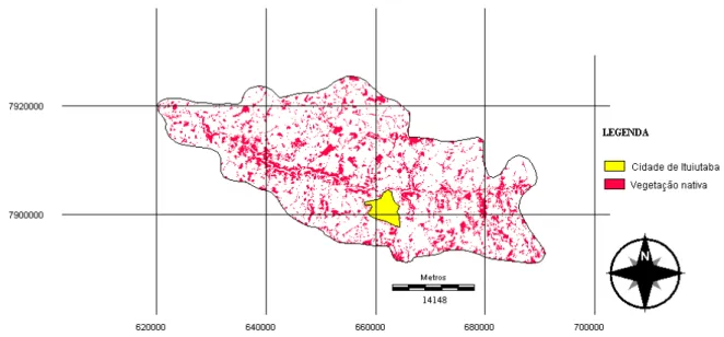 FIGURA 8. Vegetação nativa fora da área de APP na bacia do Rio Tijuco, município de Ituiutaba
