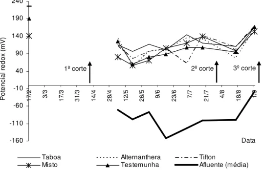 FIGURA  4.  Variação  temporal  do  Eh  no  afluente  (média)  e  nos  efluentes  dos  cinco  SACs