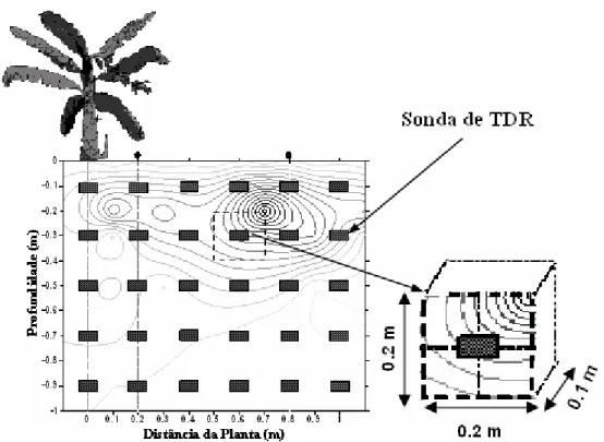 FIGURA 1. Monitoramento da umidade na região do sistema radicular da bananeira, com sondas de  TDR