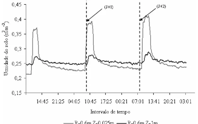 FIGURA 2. Identificação do tempo correspondente àquele em que a água infiltrada atinge a sonda 