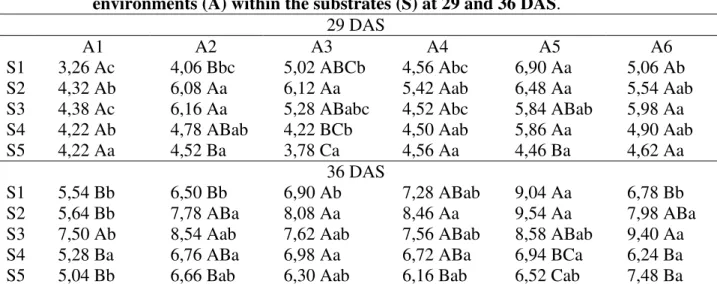 TABELA 4. Desdobramentos das alturas de plantas (AP) dos substratos (S) dentro dos ambientes  (A) e dos ambientes (A) dentro dos substratos (S) aos 29 e 36 DAS