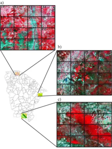 FIGURA 1. Localização das três áreas de estudo no Estado do Ceará: a) Baixo Acaraú; b) Chapada  do Apodi, e c) Chapada do Araripe com a representação das sub-regiões utilizadas na  análise estatística