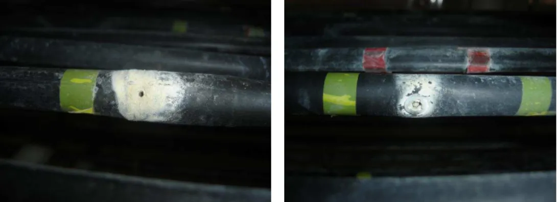 FIGURA 3. Foto de gotejadores que sofreram entupimento total, T9 (direita) e T16 (esquerda), ao  final  da  aplicação  do  ácido  nítrico