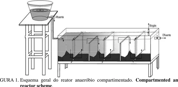 FIGURA 1. Esquema  geral  do  reator  anaeróbio  compartimentado.  Compartmented  anaerobic 