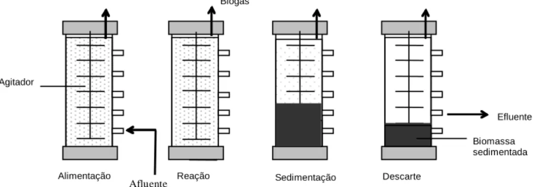 FIGURA  1.  Etapas  do  ciclo  operacional  do  reator  anaeróbio  operado  em  batelada  sequencial  (ASBR)