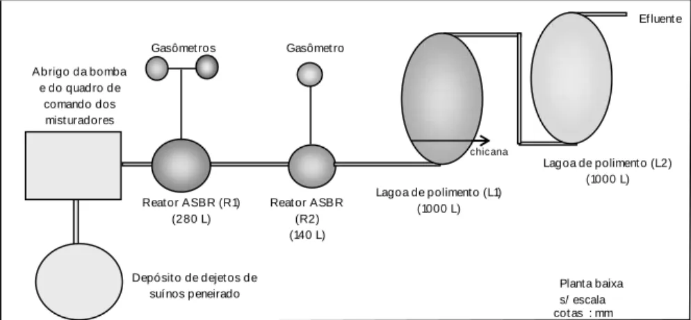 FIGURA  2.  Esquema  do  sistema  de  tratamento  anaeróbio  com  os  reatores  ASBR  (R1  e  R2) e  do  sistema de pós-tratamento constituído por lagoas de polimento (L1 e L2), em série, em  escala-piloto
