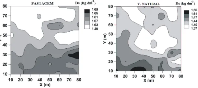 FIGURA 5. Mapas de isolinhas do atributo densidade do solo - Ds (kg dm -3 ) sob pastagem (PA) e  vegetação  secundária  em  regeneração  natural    (VN)