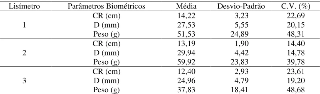 TABELA  4.  Parâmetros  biométricos  da  cultura  da  cenoura,  em  cada  lisímetro.  Crop  biometric  parameters of carrot in each lysimeter